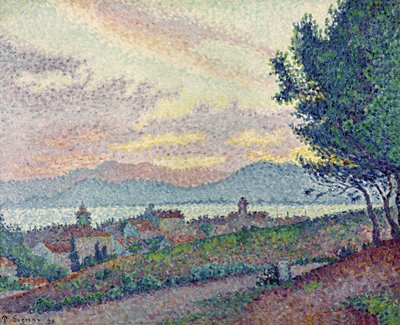 St. Tropez, Kiefernwald, 1896 von Paul Signac